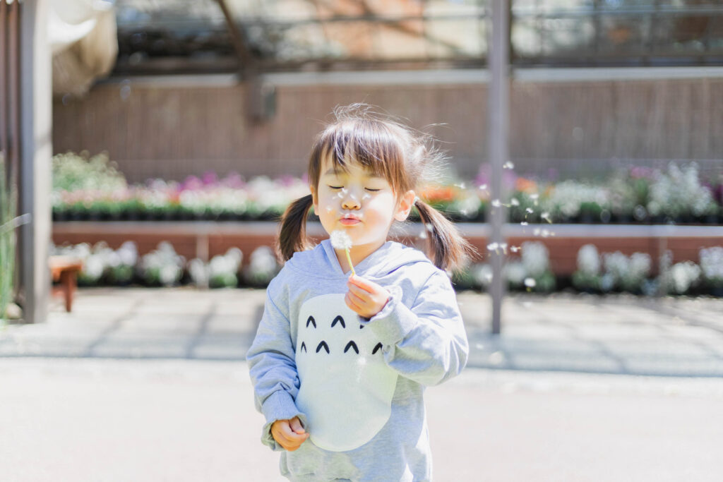 タンポポの綿毛を飛ばす女の子の写真