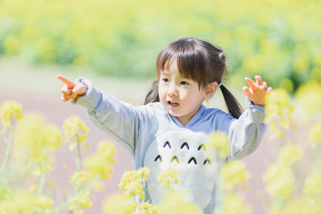 菜の花畑と女の子の写真